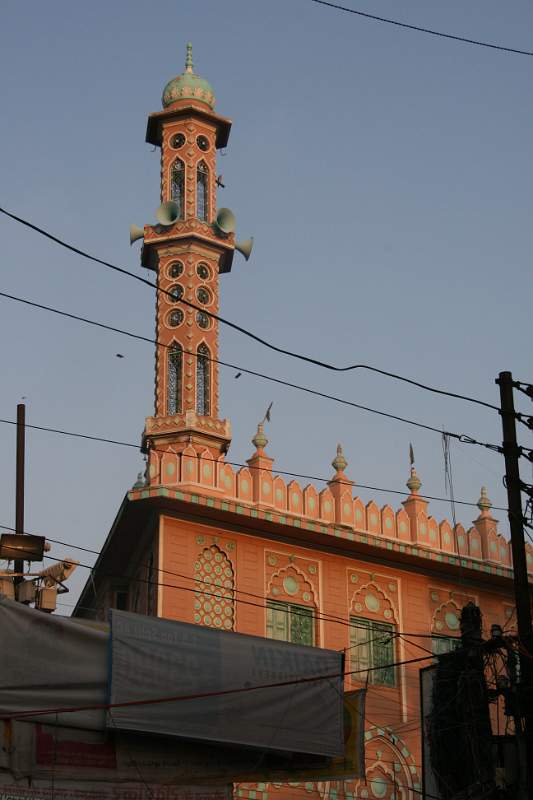 India & Nepal 2011 - 0749